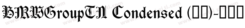 BMWGroupTN Condensed (正文)字体转换